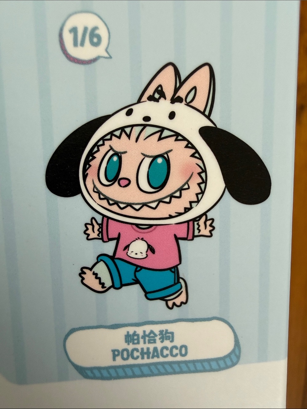 hello kitty & Friends Pochaco
